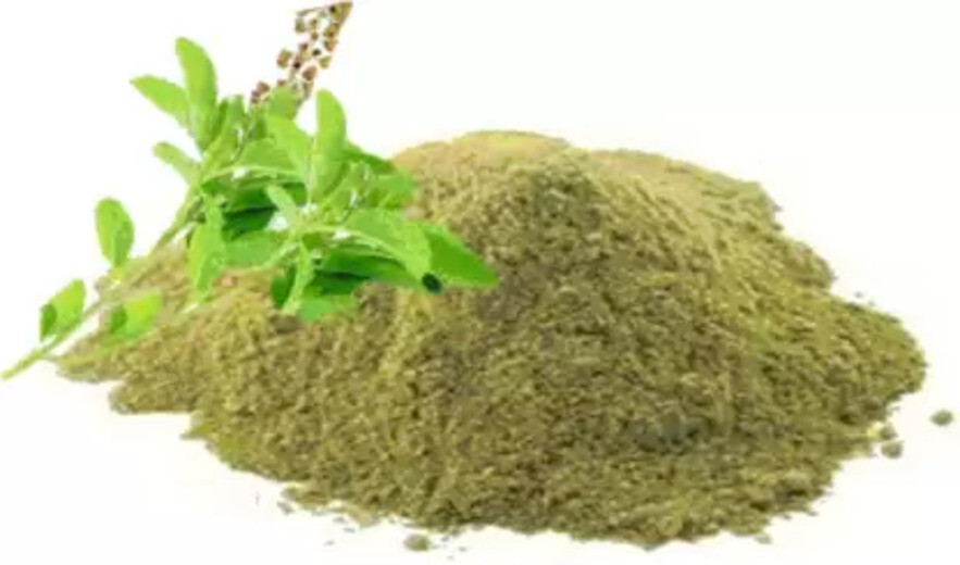 Tulsi Powder, Organic leaf Holy Basil Powder, Detoxifying/Antiseptic, 3.5 oz