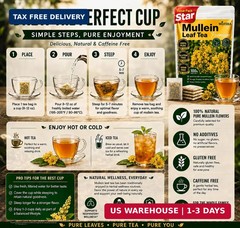 65 Count Value Pack Premium Mullein Leaf Tea Bags – 100% Pure Natural Herbal …