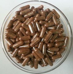 Cissus Quadrangularis Extract Capsules Pure & High Quality