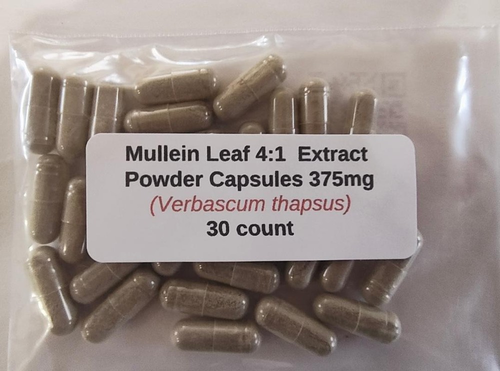 Mullein Leaf 4:1 Extract Powder Capsules (Verbascum thapsus) 375 mg – 30 Count