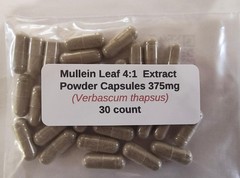 Mullein Leaf 4:1 Extract Powder Capsules (Verbascum thapsus) 375 mg – 30 Count