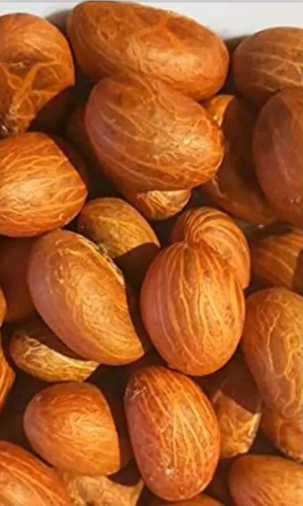 Organic African Bitter Kola (Garcinia Kola) 55 Pics — USA SELLER
