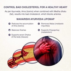 Maharishi Lipomap 40 Tablets – Supports Healthy Cholesterol Levels G986