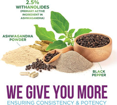Ashwagandha Supplements – High-Absorption Ashwagandha Root Extract Powder with B