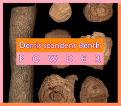 Derris scandens Benth Powder Jewel vine Nature Herb From Thailand by Tracking NO