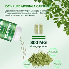 Premium Moringa Capsules Strengthen The Immune System Promote Intestinal Health