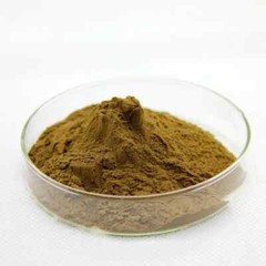 Bacopa Monnieri Extract 50% Bacosides Memory Support Free Ship 1000 Gram