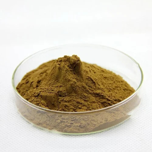 Bacopa Monnieri Extract 50% Bacosides Memory Support Free Ship 250 Gram