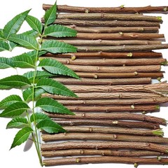 100% Natural Neem Teeth Cleaner Toothbrush Organic Chewing Stick Datun 10 Pieces