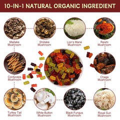 Mushroom gummies help relieve fatigue anti-inflammatory antioxidant properties