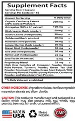 kidney health formula – KIDNEY SUPPORT 700MG – detoxifying supplement 1B