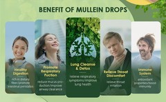 Mullein Leaf Extract Super Concentrated 420,000 MG 2 FL.OZ/60 ML Lung Cleanse
