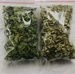 100g Dream Herb Calea Zacatechichi Leaf – Schmerbals Herbals – Free Shipping