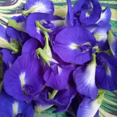 Butterfly Pea Flowers Dried Natural Blue Herbal Tea (500g) + DHL Ship