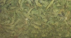 French Lemon Verbena Odorata, Aloysia triphylla, Leaf 1.7oz Calm Tea Digestion