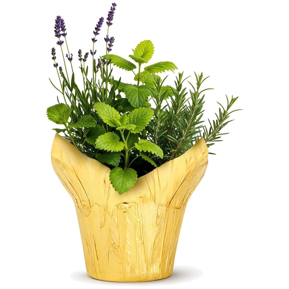 Aromatic Herb Trio – Lavender, Rosemary, Lemon Balm