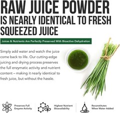 Raw BioActive Organic Wheatgrass Juice Powder – 20:1 Concentrate, 60 Servings