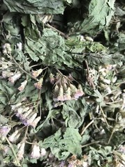 Dried Mexican Dream Herb CALEA ZACATECHICHI Lucid Pure 100% ORGANIC Herbal Tea