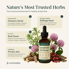 Lymphatic Drainage Drops for Bloat Relief & DePuff – Cleavers, Red Clover, St…