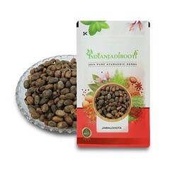 IndianJadiBooti – Jamalghota Seeds – Croton Seeds – Croton Tiglium, 100 GRAMS