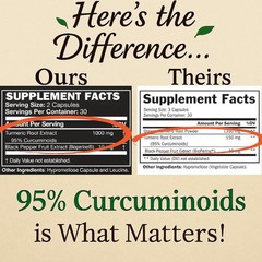 Me First Living Turmeric Curcumin 1000 mg 95% 60 Count (Pack of 1)