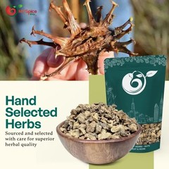 NY Herb Shop Devil’s Claw Root Cut & Sifted | Bulk Wholesale Herbal Tea