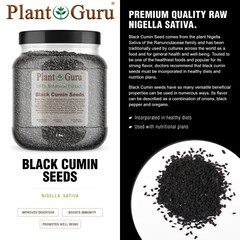 Black Cumin Seeds 2 lbs Jar Whole NIGELLA SATIVA Kalonji Herb Comino Negro Bulk