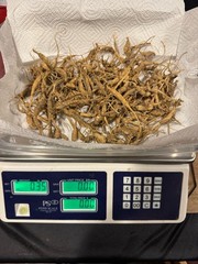 Dry Wild American Ginseng. 0.35 Lb. W/ Certificates. 2025 Harvest