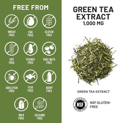 NatureWise Green Tea Extract Capsules 1000 mg – 50% 120 Count (Pack of 1)