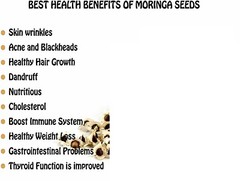 1000 Organic Moringa Seeds | Moringa Oleifera | Dried, Non GMO, Edible,Planting