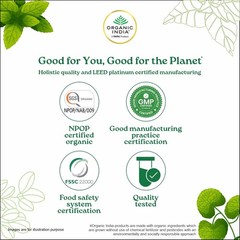 Organic India Moringa Powder 100g Superfood Energy Stamina Vitamins Minerals
