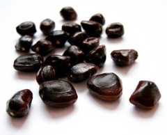 Sri Lankan Dried Tamarind Seeds, Imlii beej, Tamarindus Indica Natural – 100g
