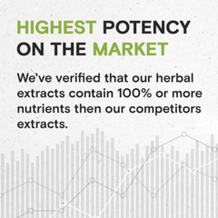 Secrets Of The Tribe Blood Sugar Secret Tincture Alcohol-FREE Extract