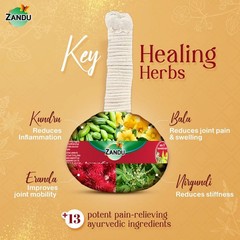 Zandu Pain Relief Potli 180g Ayurvedic Herbal Joint | Muscle Pain Therapy