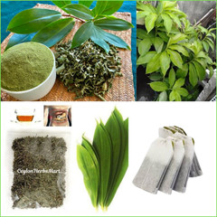 Insulin Plant Leaf/Leaves Tea Bags Costus Igneus Diabetic Herbal Organic Powder