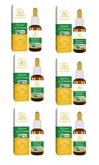 Brazilian Bee Organic green Propolis Tincture Extract Immune Support 6 x 30ml