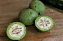 Black Walnut Extract 4 oz Organic Juglans nigra Ripe Green Hulls Tincture