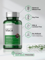 Horbäach Maca Root Capsules for Men and Women | 120 120 Count (Pack of 1)