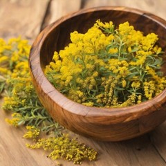 Goldenrod Extract (Solidago Canadensis) Organic Non-GMO Herbal Tincture 2oz USA