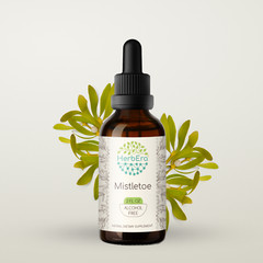 HerbEra Mistletoe Alcohol-FREE Tincture, Organic Mistletoe (Viscum album)