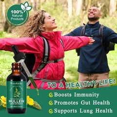 Mullein Drops for Lungs, Leaf Extract with 2 Fl Oz (Pack of 1)