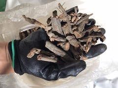 Sarsaparilla Root (Mexican), Dried – 2oz/57grams,4oz/113grams,6oz/170gr,8oz/227g