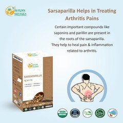 Herbs Botanica Dried Sarsaparilla Root 8oz – Cut & Sifted, Premium Quality