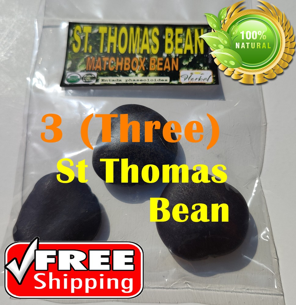 3 St Thomas Bean, box bean (Entada phaseoloides) giant bean, magic bean, seeds o