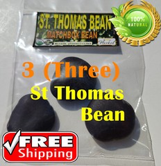 3 St Thomas Bean, box bean (Entada phaseoloides) giant bean, magic bean, seeds o