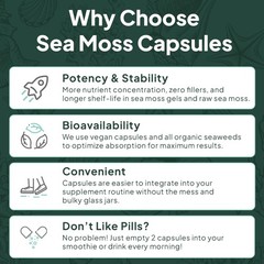 Organics Ocean Wild Sea Moss Capsules – 100% Organic 60 Count (Pack of 1)