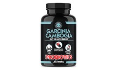 Gut Health & Wellness Blend w/ Garcinia Cambogia with Probiotics 3-Pack