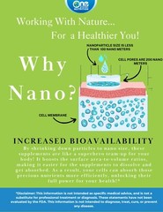 One Planet Nutrition Nano Curcumin Plus Capsules – 500 mg (60 Count)