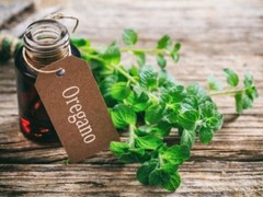 Urinary Tract Health – Oregano Oil 1500mg – Antioxidants – 60 Capsules