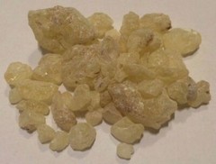 Copal Resin (Shorea javanica) Natural Incense Wildharvested & Kosher Indonesia